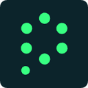 Polymer Runtime Data Security