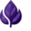 Purple Leaf