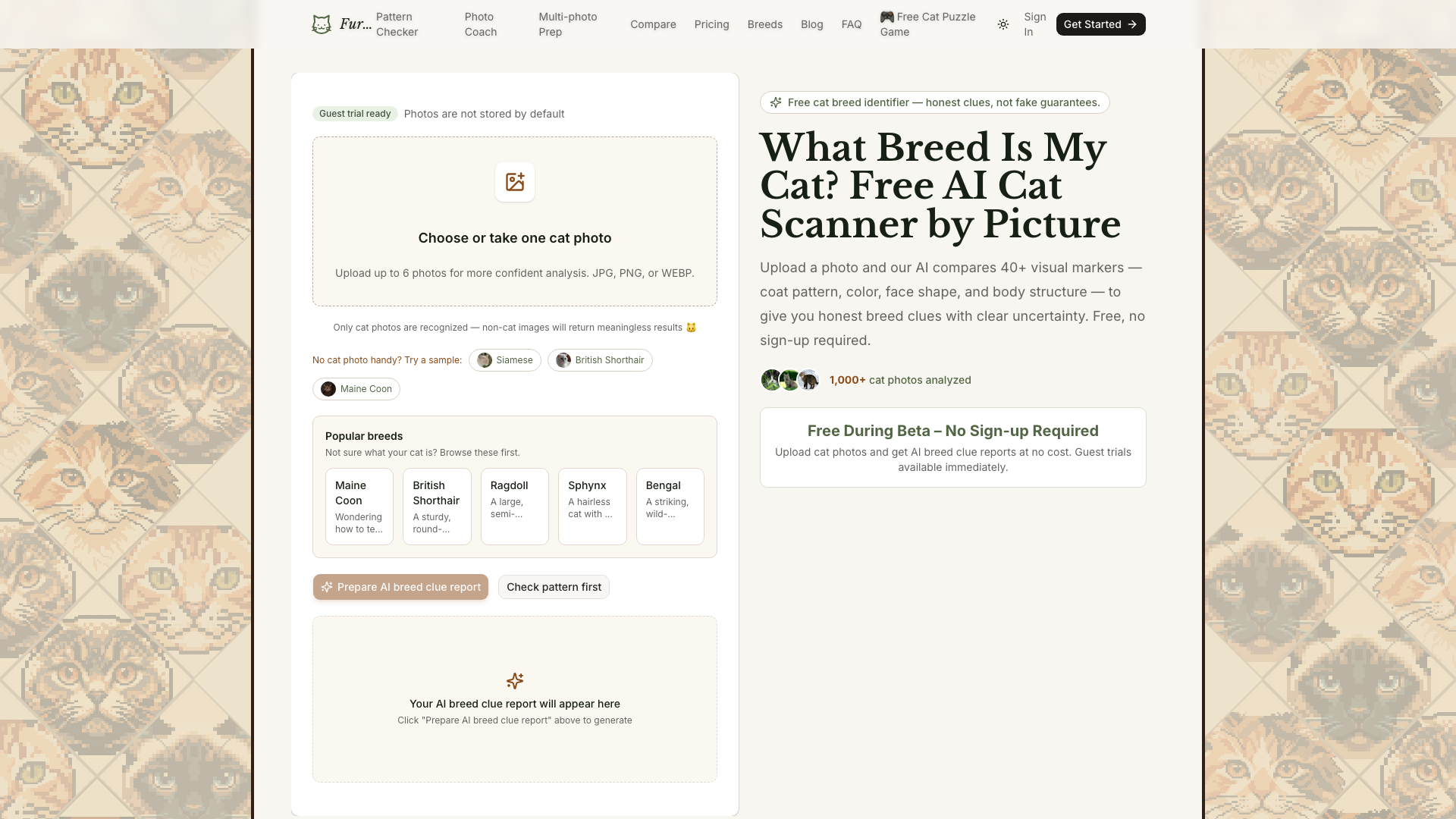 Furriq-AI Cat Breed Identifier screenshot