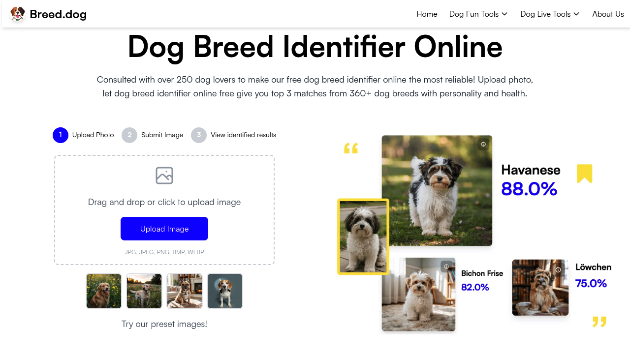 Breed.dog screenshot