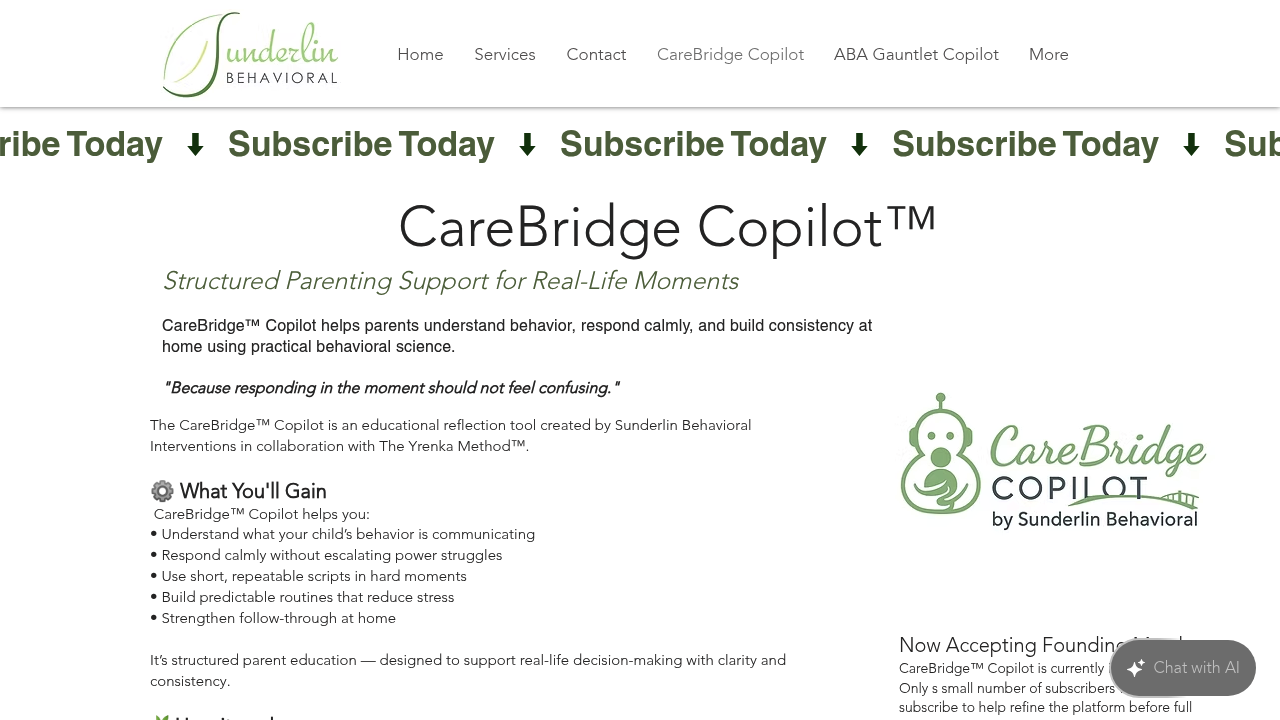 CareBridge Copilot screenshot