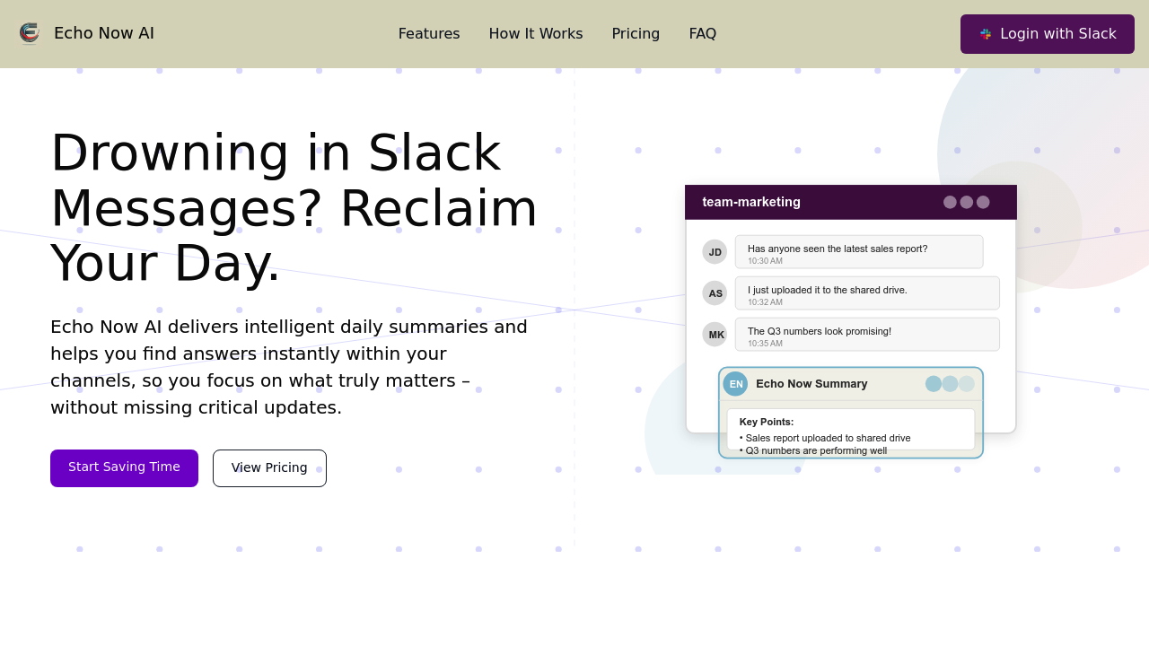 Echo Now AI screenshot