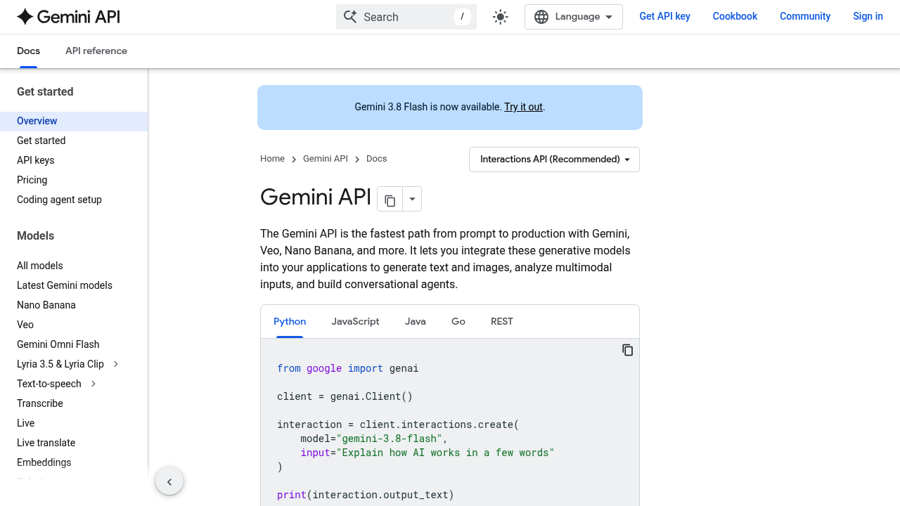 Google Gemini API screenshot