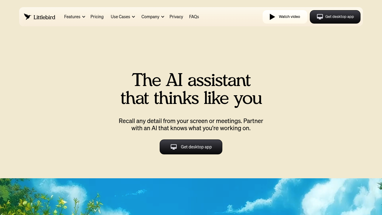 Littlebird screenshot