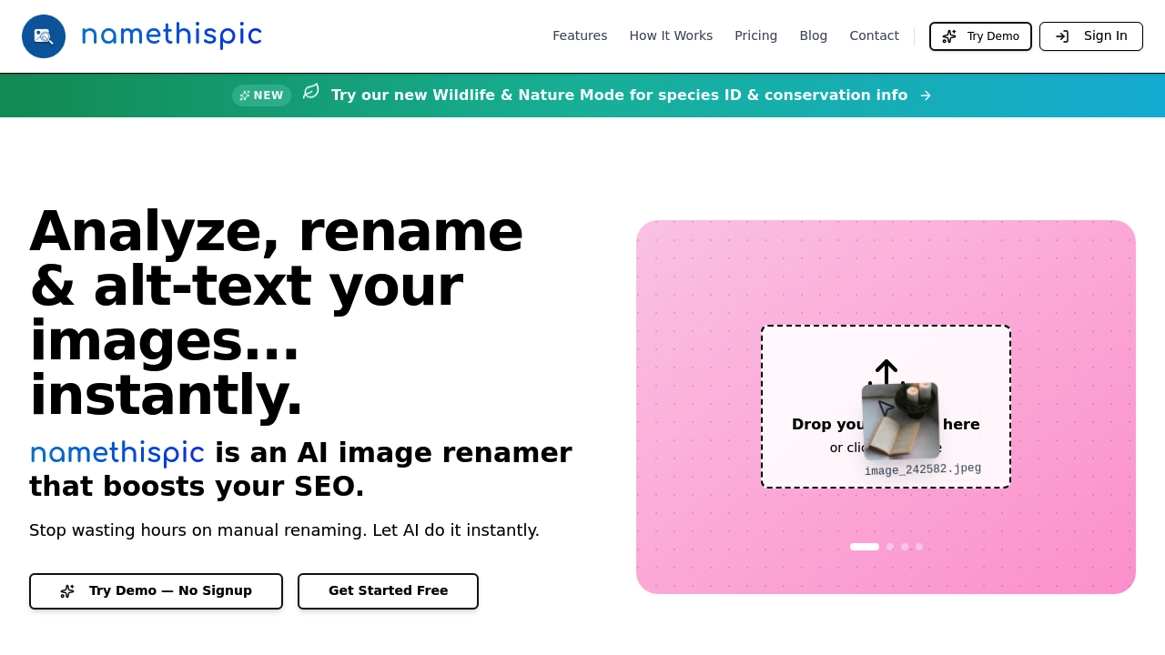 namethispic screenshot