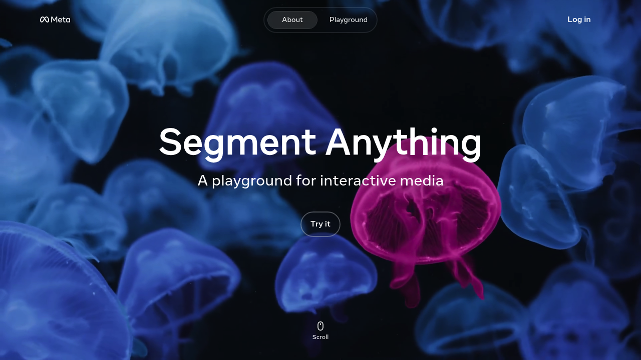 Segment Anything by Meta screenshot