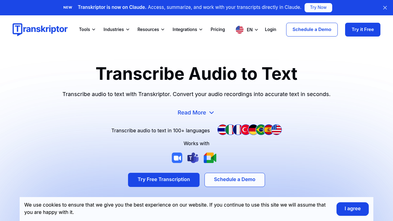 Transkriptor screenshot
