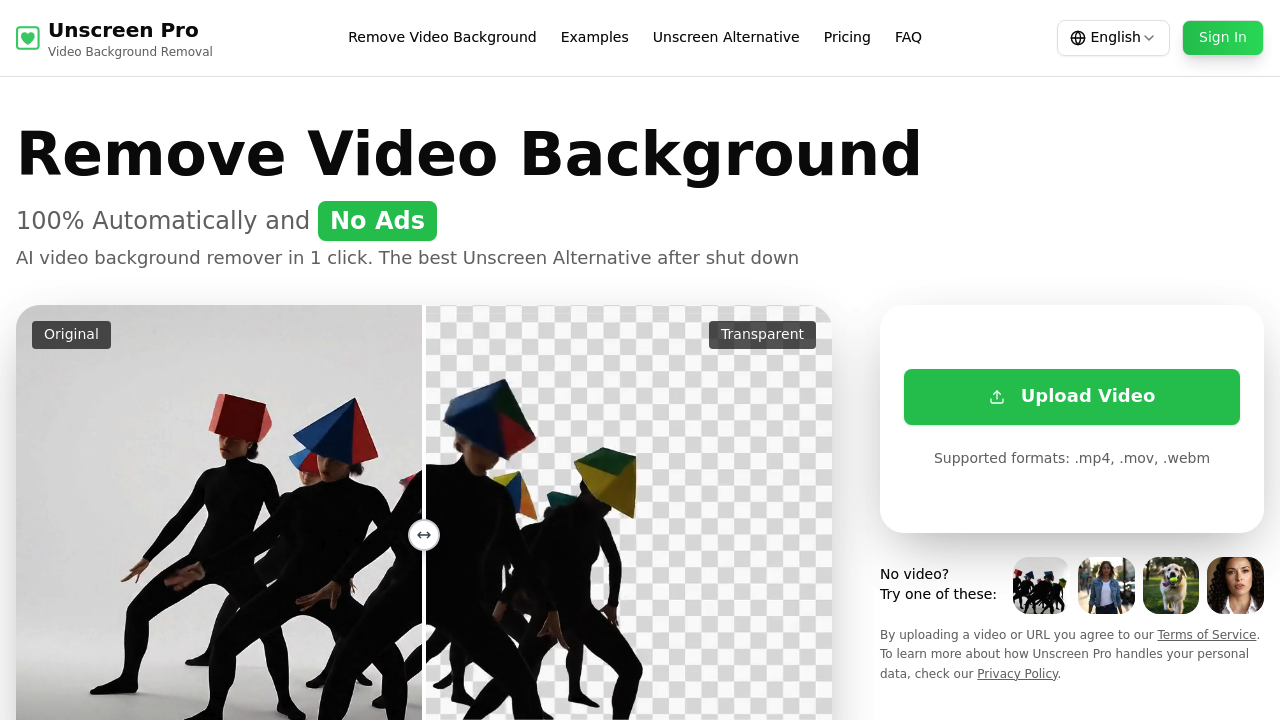 Unscreen Pro screenshot