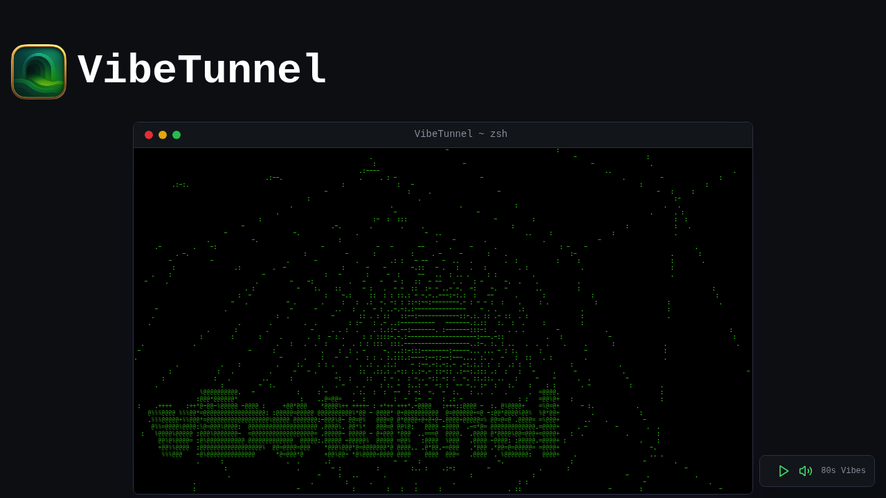 VibeTunnel screenshot