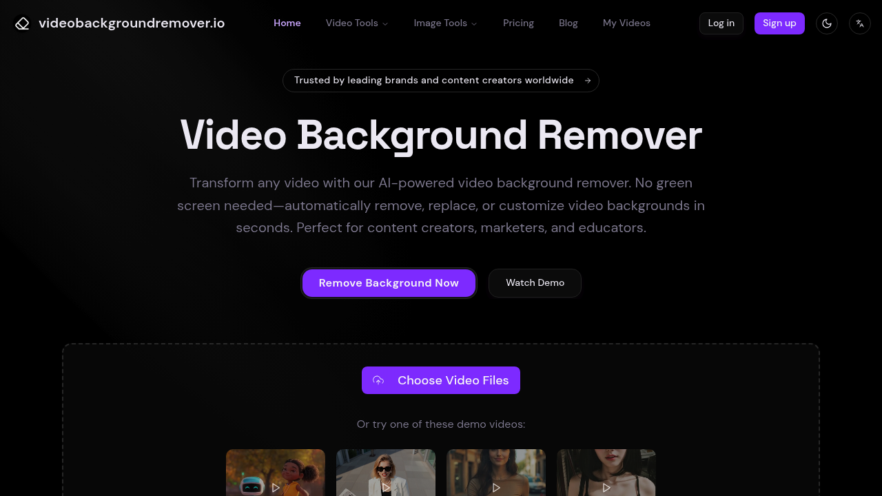 Video Background Remover screenshot