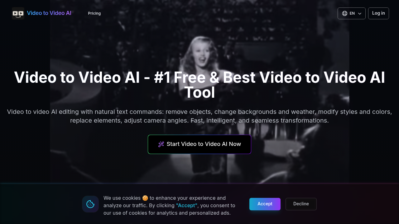 Video to Video AI screenshot
