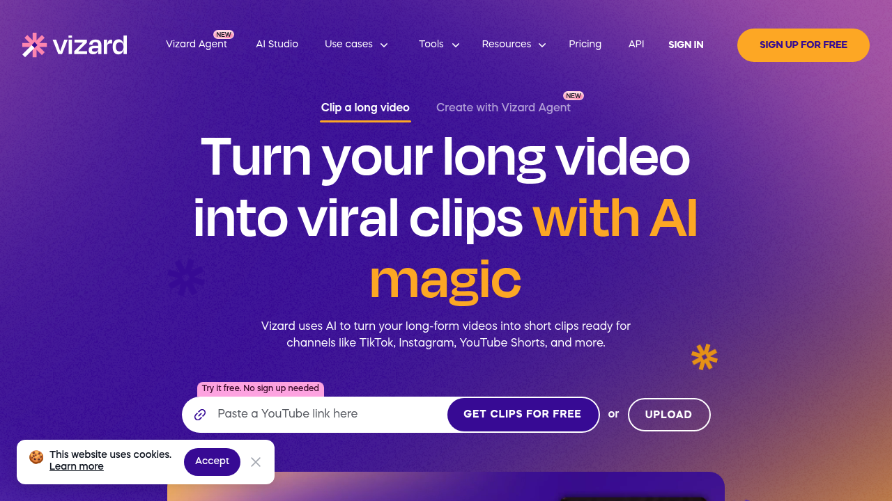 Vizard screenshot
