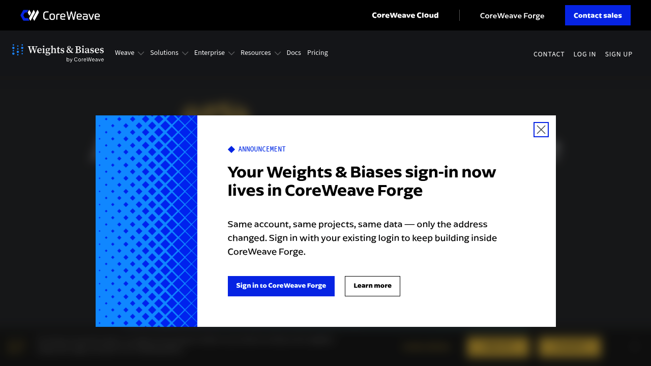 Weights & Biases screenshot