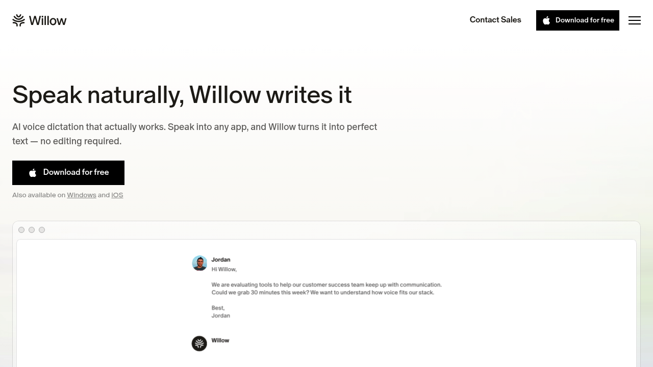 Willow Voice screenshot